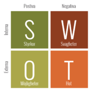 SWOT-analys